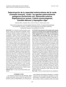 thumbnail-of-Determinación de la capacidad antimicrobiana del té verde (Camellia sinensis) contra los agentes potencialmente patógenos Escherichia coli,