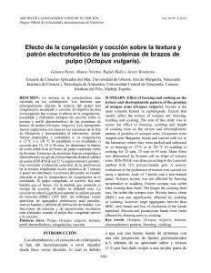 thumbnail-of-Efecto de la congelación y cocción sobre la textura y patrón electroforético de las proteínas de brazos de pulpo (Octopus vulgaris)